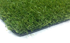 Soft Grass 25