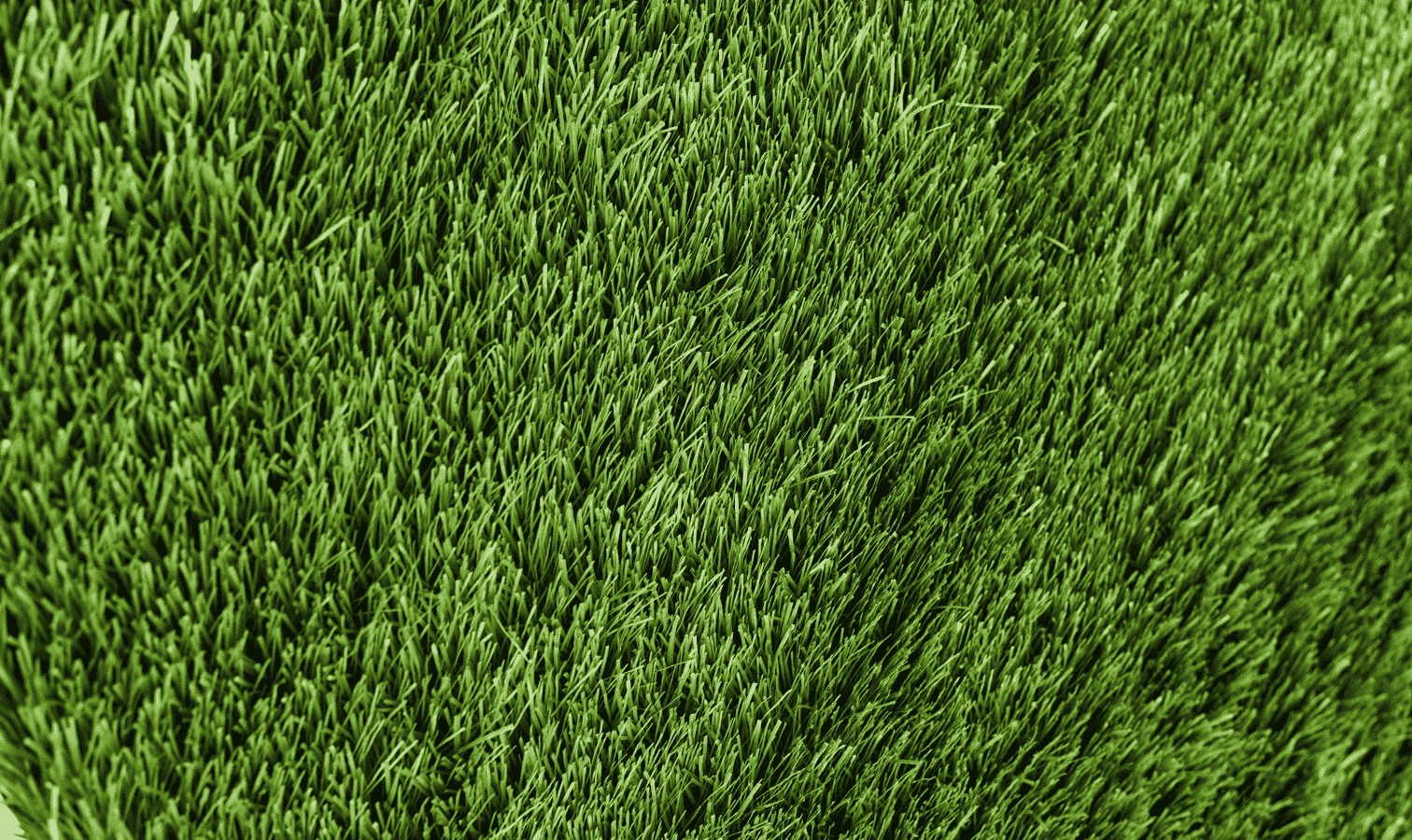 ОСТАТКИ Premium Grass,  коллекция Football, «Football 50 Green 12000» - фото