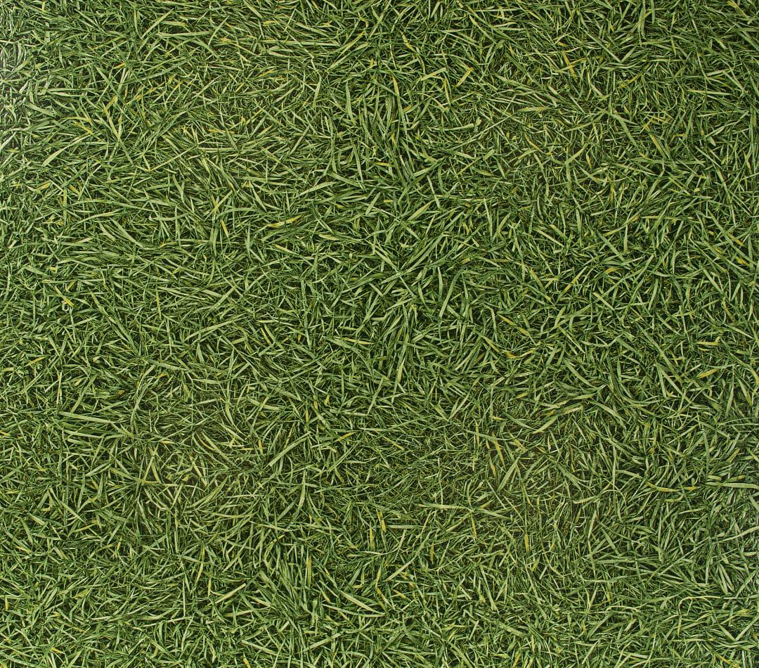 ОСТАТКИ IVC,  коллекция Bingo, «Grass 025» - фото