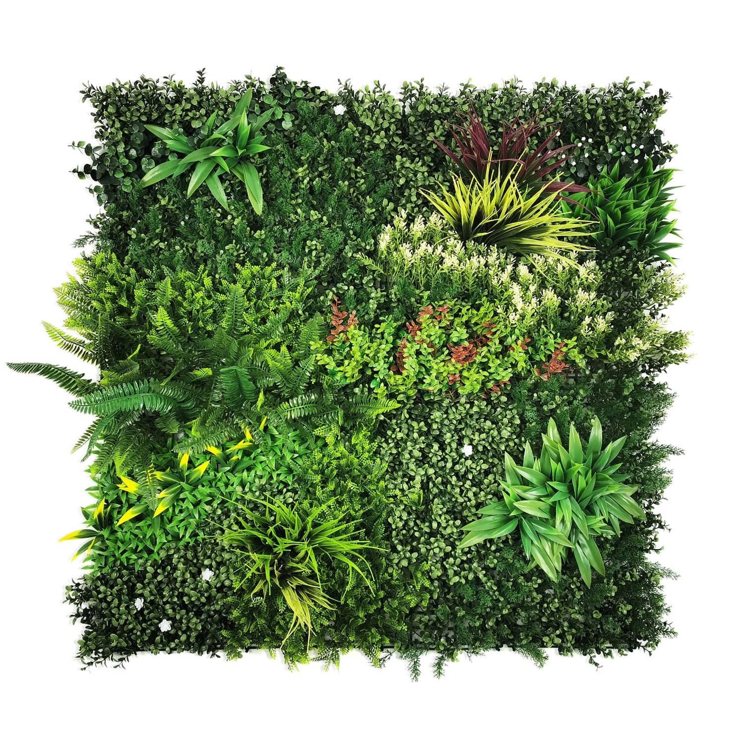 Самшитовые коврики Premium Grass,  коллекция FloraScape,  «VerdiWall 100 х 100» - фото