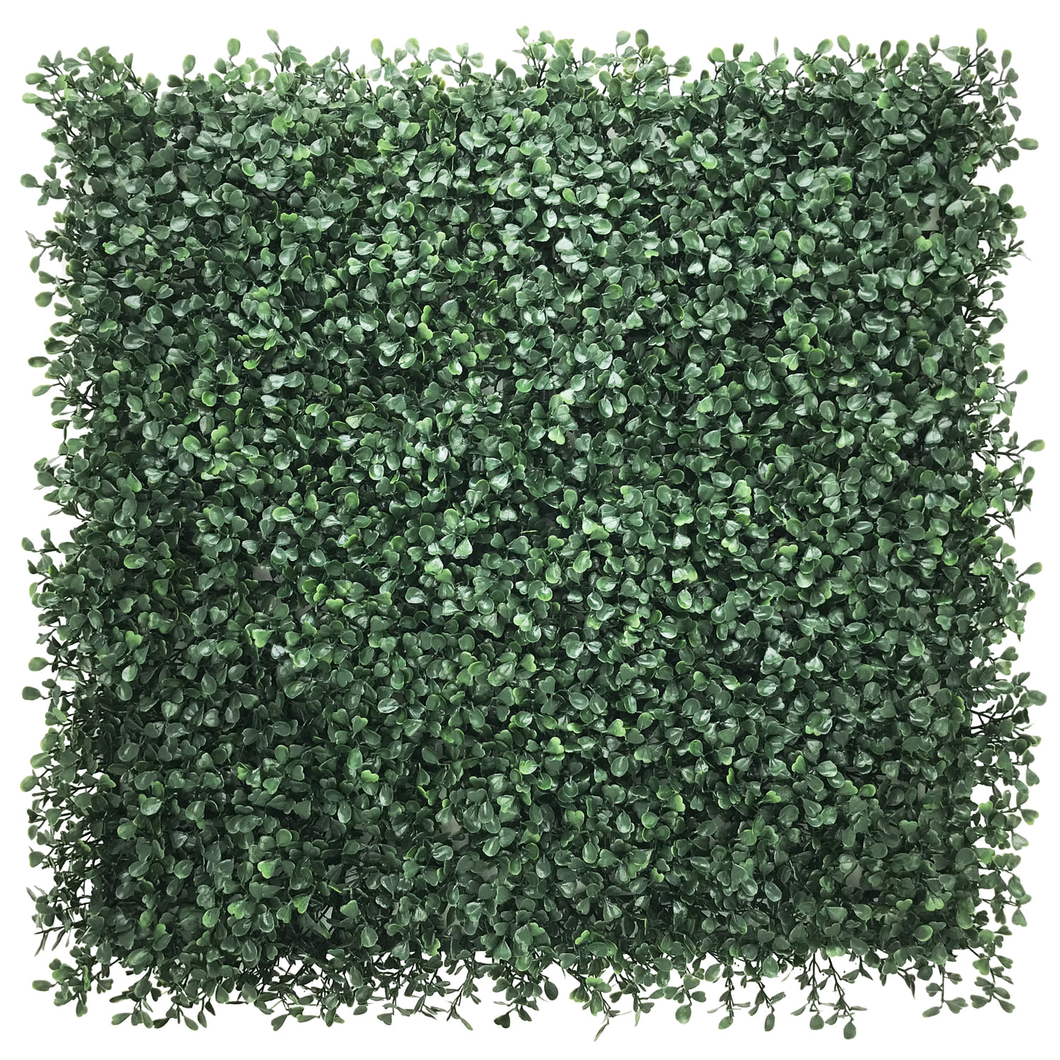 Самшитовые коврики Premium Grass,  коллекция FloraScape,  «BoxTree 50 х 50» - фото
