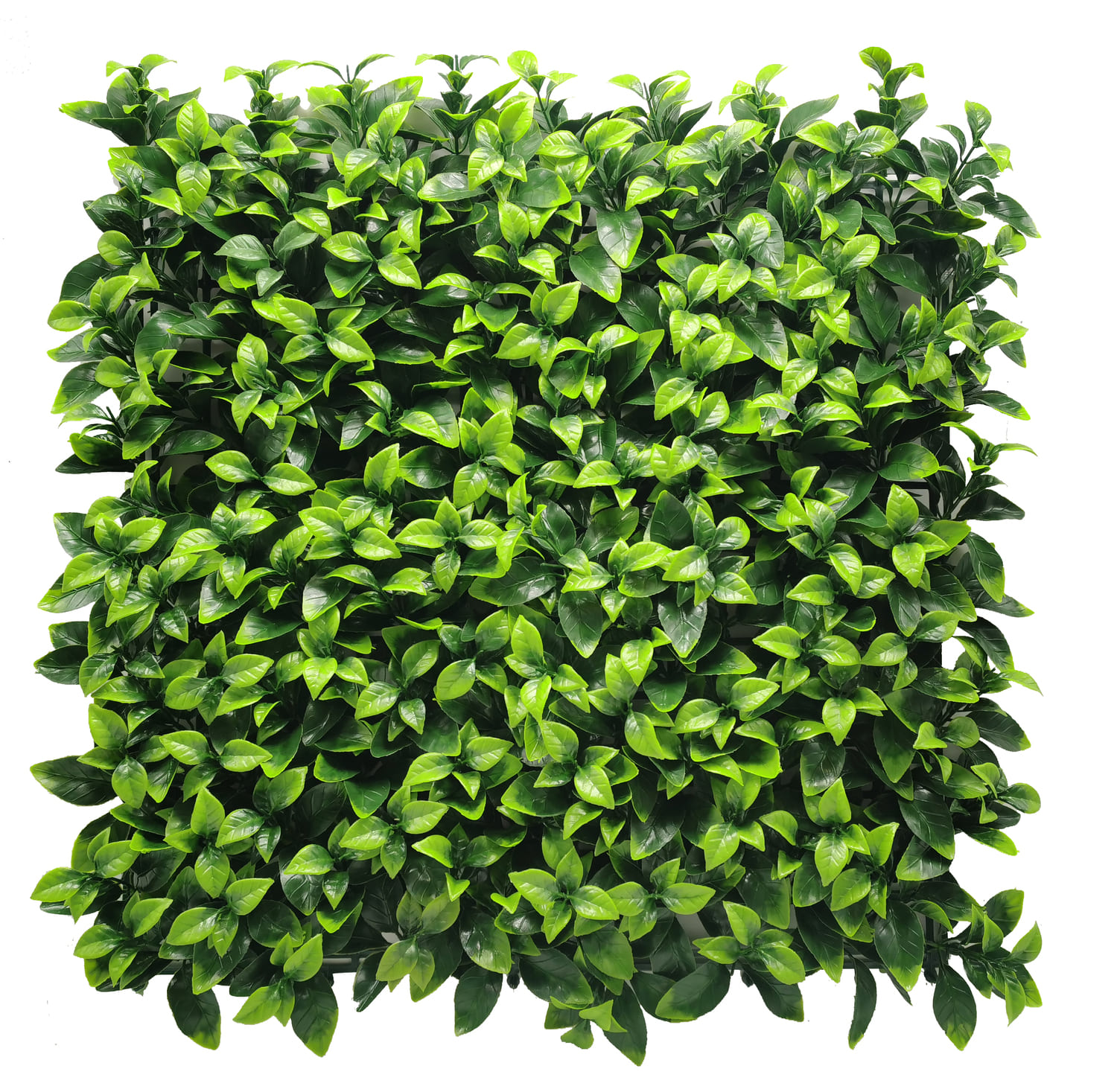 Самшитовые коврики Premium Grass,  коллекция FloraScape,  «Gardenia 50 х 50» - фото
