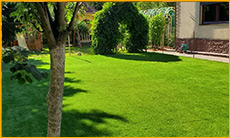 Искусственный газон Premium Grass: особенности и преимущества