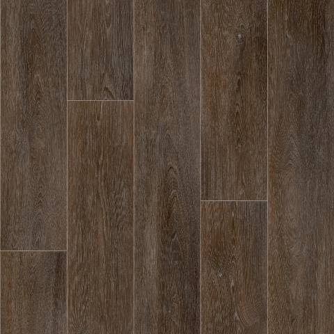 Columbian Oak 664D