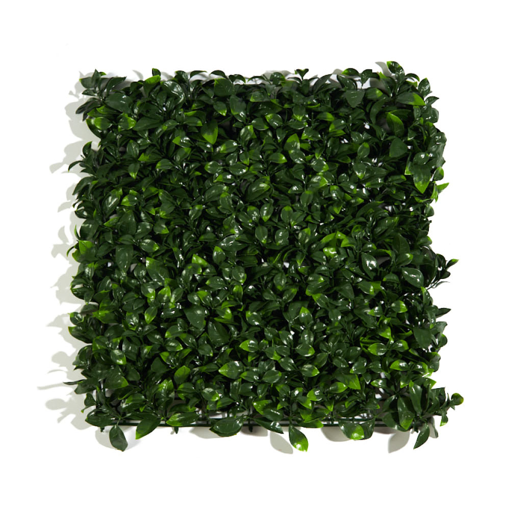 Самшитовые коврики на стену Premium Grass,  коллекция FloraScape,  «Gardenia 50 х 50» - фото