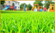 Искусственный газон – как правильно выбрать и на какие параметры обращать внимание?