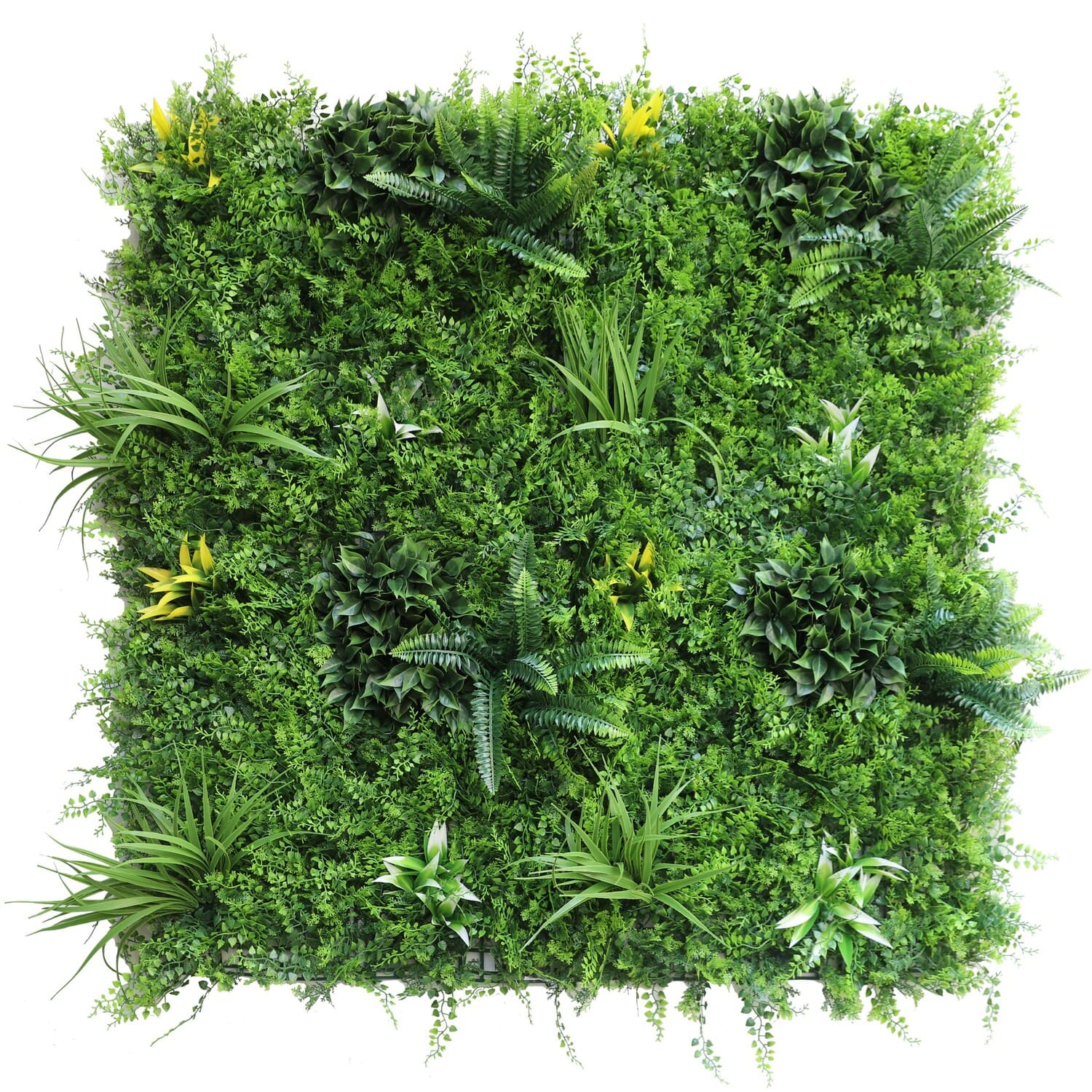 Самшитовые коврики Premium Grass,  коллекция FloraScape,  «TropiFern 100 х 100» - фото