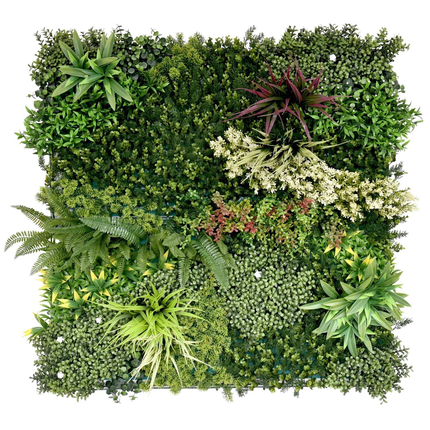 Самшитовые коврики на стену Premium Grass,  коллекция FloraScape,  «WildGrove 100 х 100» - фото