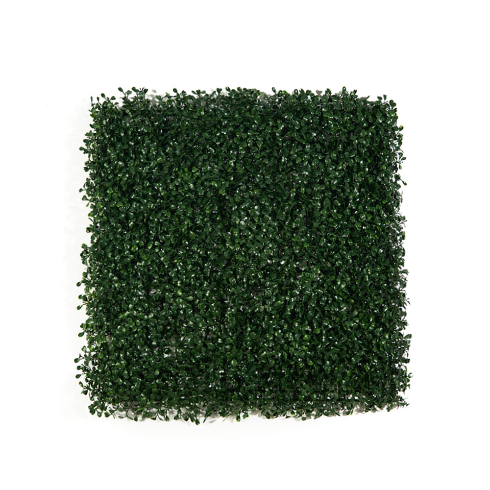 Самшитовые коврики на стену Premium Grass,  коллекция FloraScape,  «BoxTree 50 х 50» - фото
