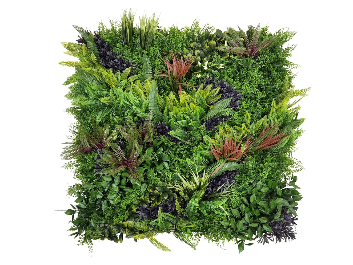 Самшитовые коврики Premium Grass,  коллекция FloraScape,  «Zenvine 100 х 100» - фото
