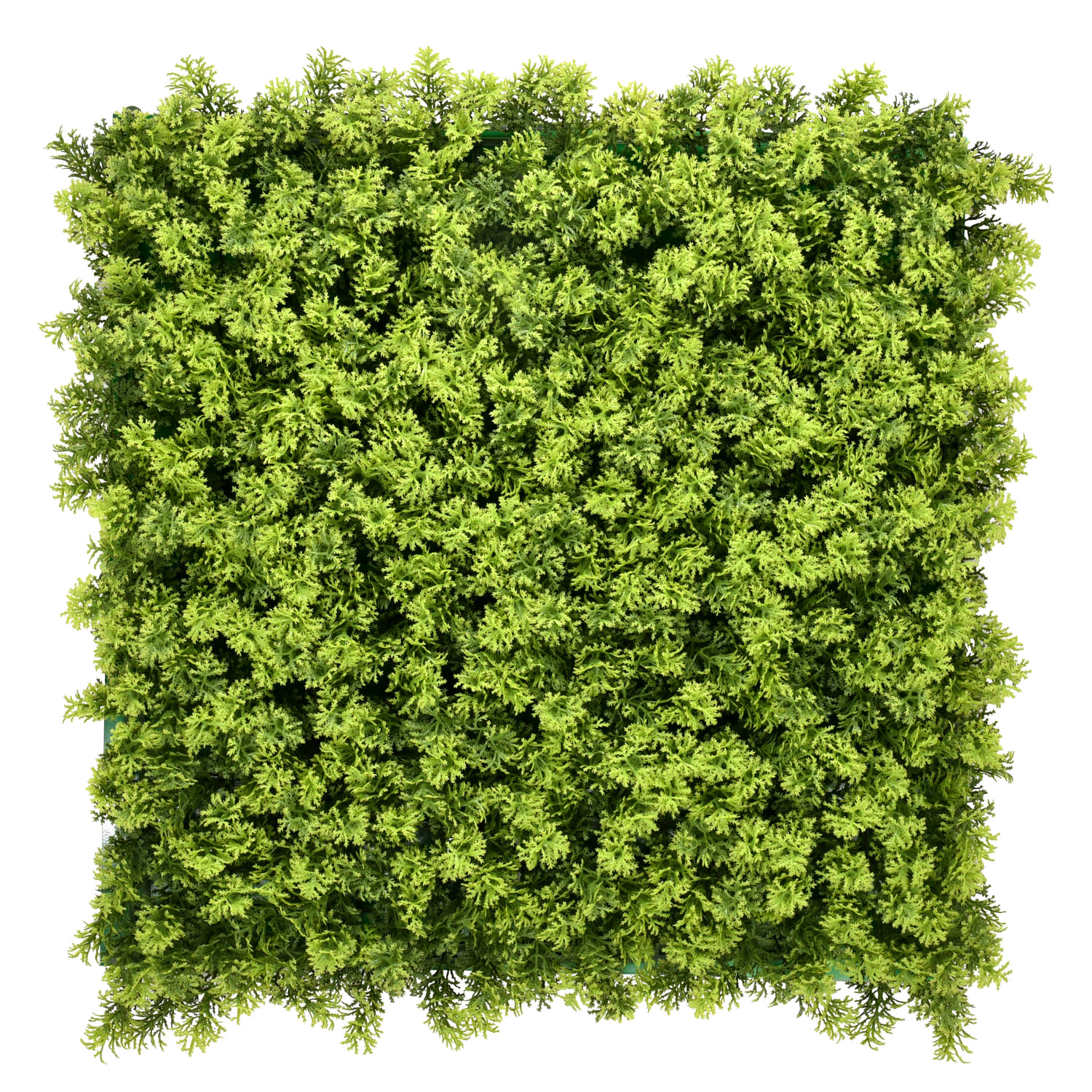 Самшитовые коврики Premium Grass,  коллекция FloraScape,  «Heart Leaf 50 х 50» - фото
