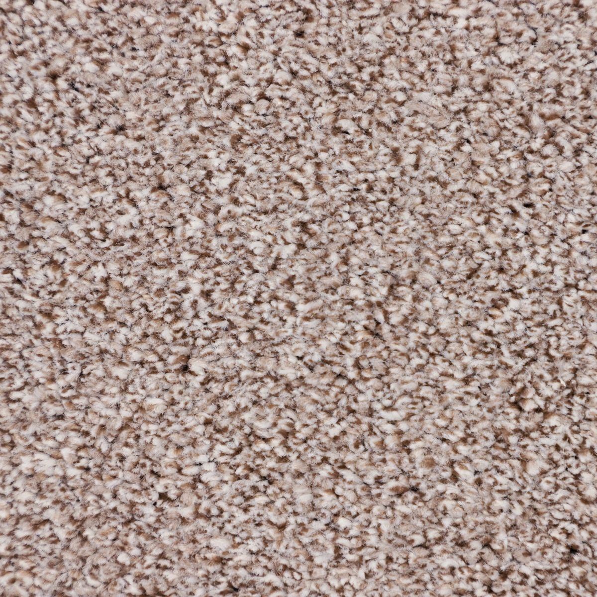 Ковролин бытовой Filoteks,  коллекция Discovery, «Discovery 50» - фото