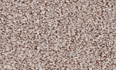 Filoteks Discovery 50