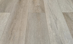 Stone Floor Дуб Молочный