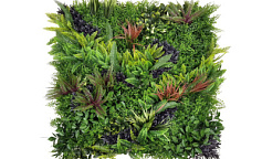 Premium Grass Zenvine 100 х 100                        