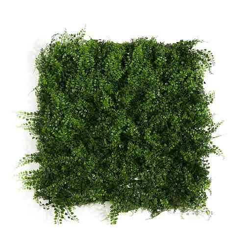 Fern Bracken 50 х 50