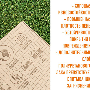 /upload/resize_cache/iblock/225/400_400_2/4yts6i2y9s3p6ty0i2szen84tlhg32ja.jpg
