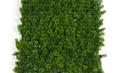 Premium Grass Heart Leaf 50 х 50                        