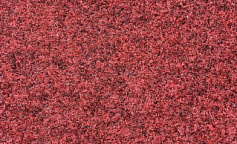 Bonkeel Red                        