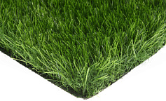 Premium Grass Comfort 50 Green                        