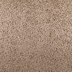 /upload/resize_cache/iblock/2b3/400_400_2/5n0qj6zw0mj5384so0g226kfyn8vzc87.jpg
