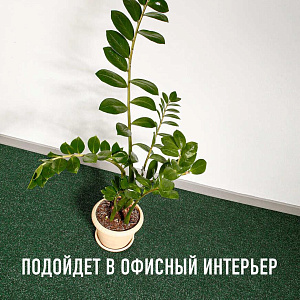 /upload/resize_cache/iblock/2dd/400_400_2/0cja0l039sqnu1skxysxhrwinsnjjkjq.jpg