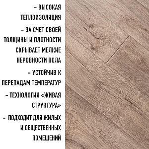/upload/resize_cache/iblock/2e2/400_400_2/zwkouo67ow2ur6x7t3hkapeg3fh24bd8.jpg