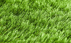 Premium Grass Comfort 50 Green Bicolour                        