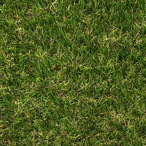 /upload/resize_cache/iblock/364/400_400_2/t8huyspsz146wnm43jnatkgiolkxt3pl.jpg