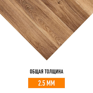 /upload/resize_cache/iblock/38c/400_400_2/3rpr973tp4ri50205096c2k6jut6z7mo.jpg