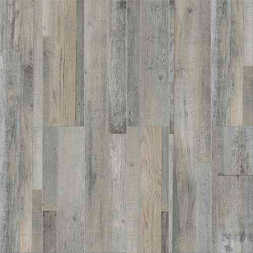 Дуб Марсель