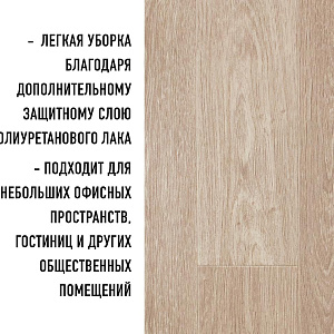 /upload/resize_cache/iblock/430/400_400_2/3mc3ranu3n0jls7r7qiucio3cmgnawas.jpg