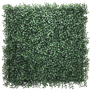 /upload/resize_cache/iblock/433/400_400_2/o43yar2dt23vga27vx62dw0h10fymakr.jpg