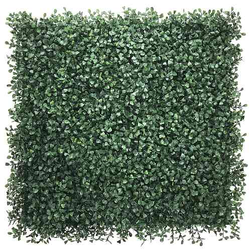 BoxTree 50 х 50