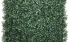 Premium Grass BoxTree 50 х 50                        