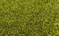 Ургаз Зеленый 10093