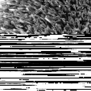 /upload/resize_cache/iblock/4b9/400_400_2/pvge2t9evtydqfw35owv6lns87btc8mw.jpg