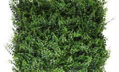 Premium Grass Fern Bracken 50 х 50                        