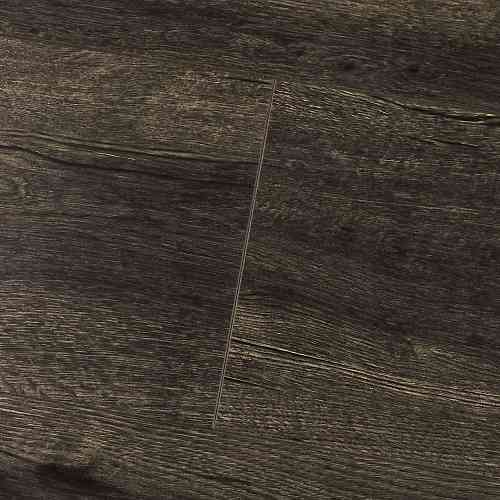 Дуб Бальзамо