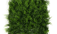 Premium Grass Fern Bracken 50 х 50                        