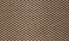 Ургаз Платан 10271