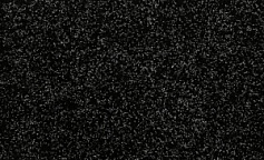 Bonkeel Black                        