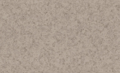 Tarkett Beige 02