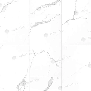 /upload/resize_cache/iblock/6c8/400_400_2/5d5gqto02fxqfgo8ox0hvlwoxa9gxwc1.webp