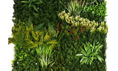 Premium Grass VerdiWall 100 х 100                        