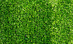 Premium Grass Standart 7 Green                        