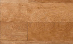 Amber Wood Берёза жёлтая Натур Лак                        