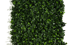 Premium Grass Gardenia 50 х 50                        