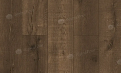 Alpine Floor Дуб Vermont