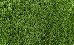 Premium Grass Football 50 Green 12000                        